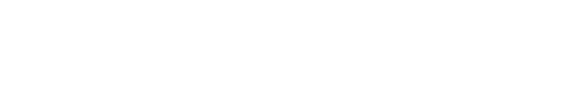 Big-Fish-Games-logo-—-White