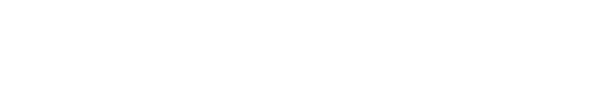 Bonfire-logo-—-White